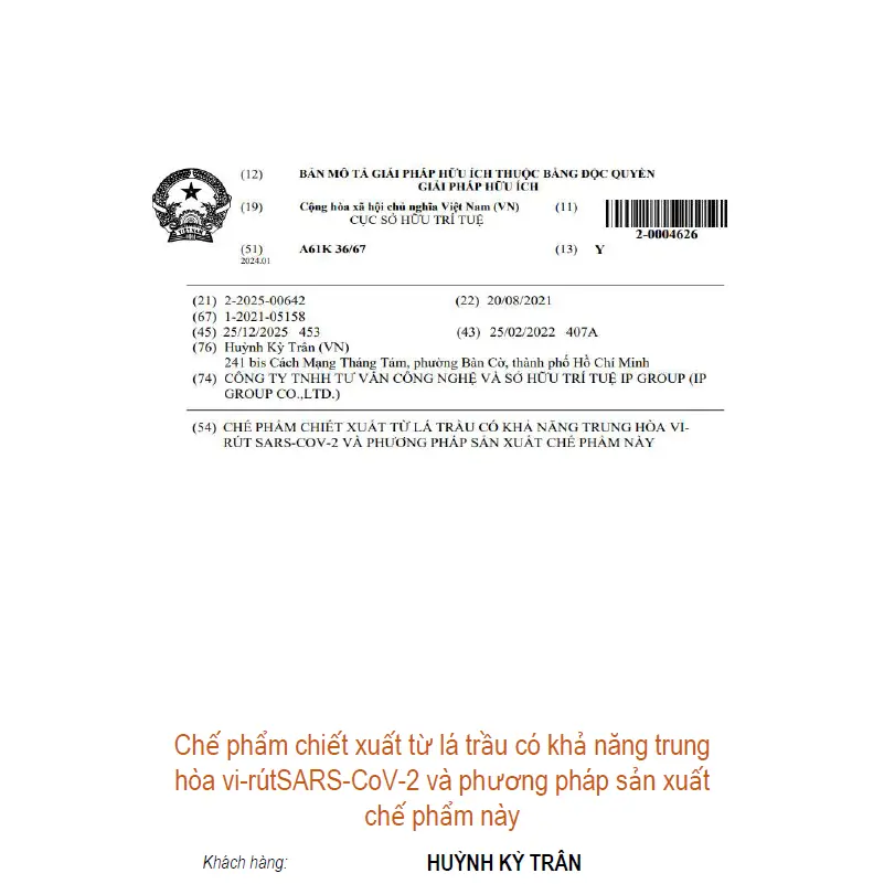 Chế phẩm chiết xuất từ lá trầu có khả năng trung hòa vi-rútSARS-CoV-2 và phương pháp sản xuất chế phẩm này