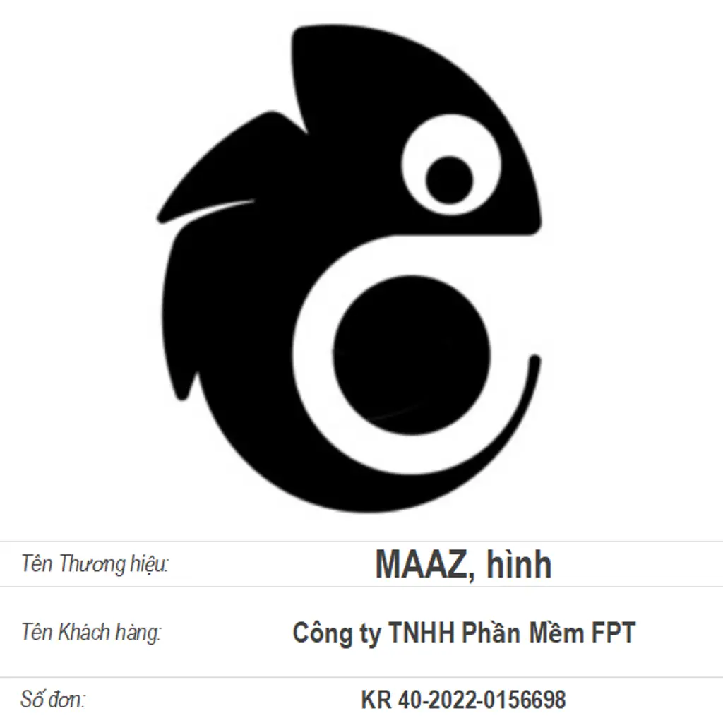 MAAZ, hình
