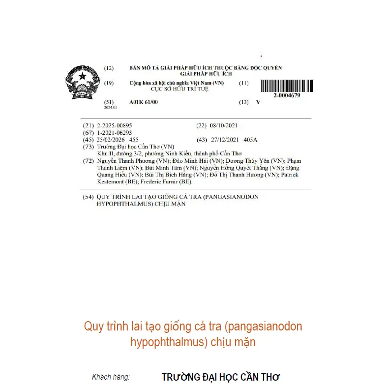Quy trình lai tạo giống cá tra (pangasianodon hypophthalmus) chịu mặn
