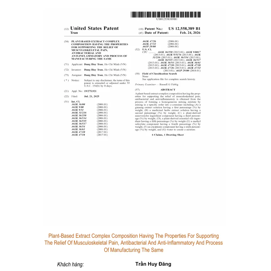 Plant-Based Extract Complex Composition Having The Properties For Supporting The Relief Of Musculoskeletal Pain, Antibacterial And Anti-Inflammatory And Process Of Manufacturing The Same