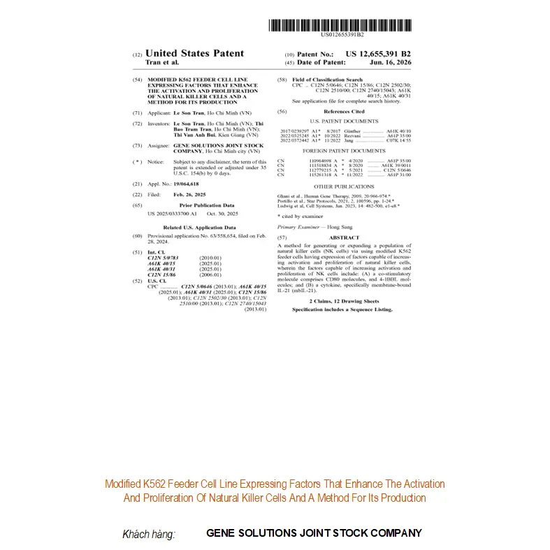 Modified K562 feeder cell line expressing factors that enhance the activation and proliferation of natural killer cells and a method for its production