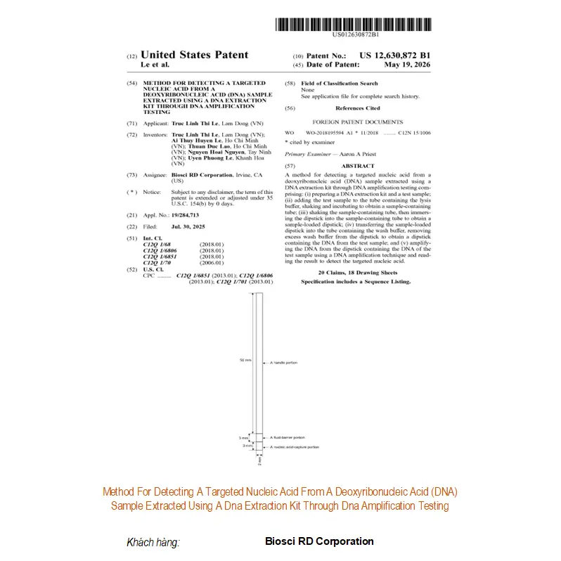 Method For Detecting A Targeted Nucleic Acid From A Deoxyribonucleic Acid (DNA) Sample Extracted Using A Dna Extraction Kit Through Dna Amplification Testing