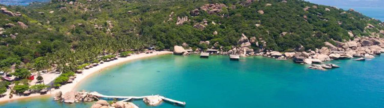 Công ty Cổ Phần Hàng không Tre Việt